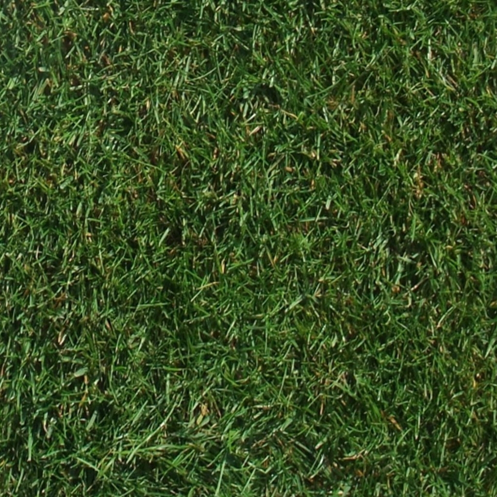 LT7 Festival Garden Landscape Turf